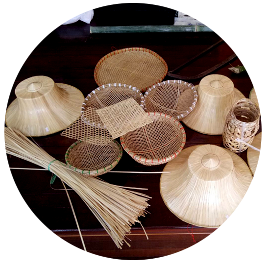 วิชาชีพ & อาชีวะ